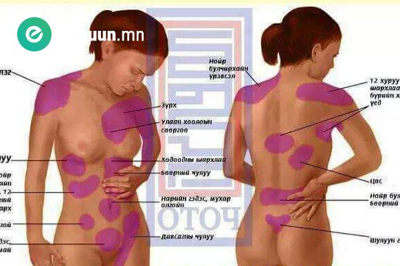 Цөс өвдөхөд хаана чинь өвддөгийг  мэдэх үү?