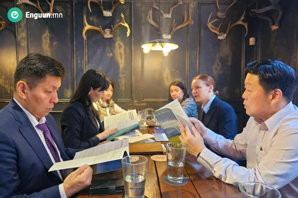 MERIT ТӨСЛИЙГ ҮРГЭЛЖЛҮҮЛЭХ БОЛОМЖИЙН ТАЛААР ХЭЛЭЛЦЛЭЭ