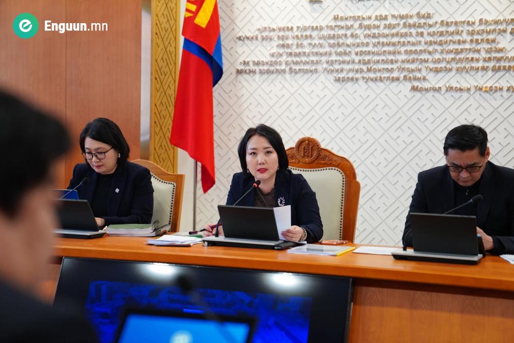 Төрийн болон орон нутгийн өмчит компанийн бүтээмж, ил тод байдал, засаглалыг сайжруулна